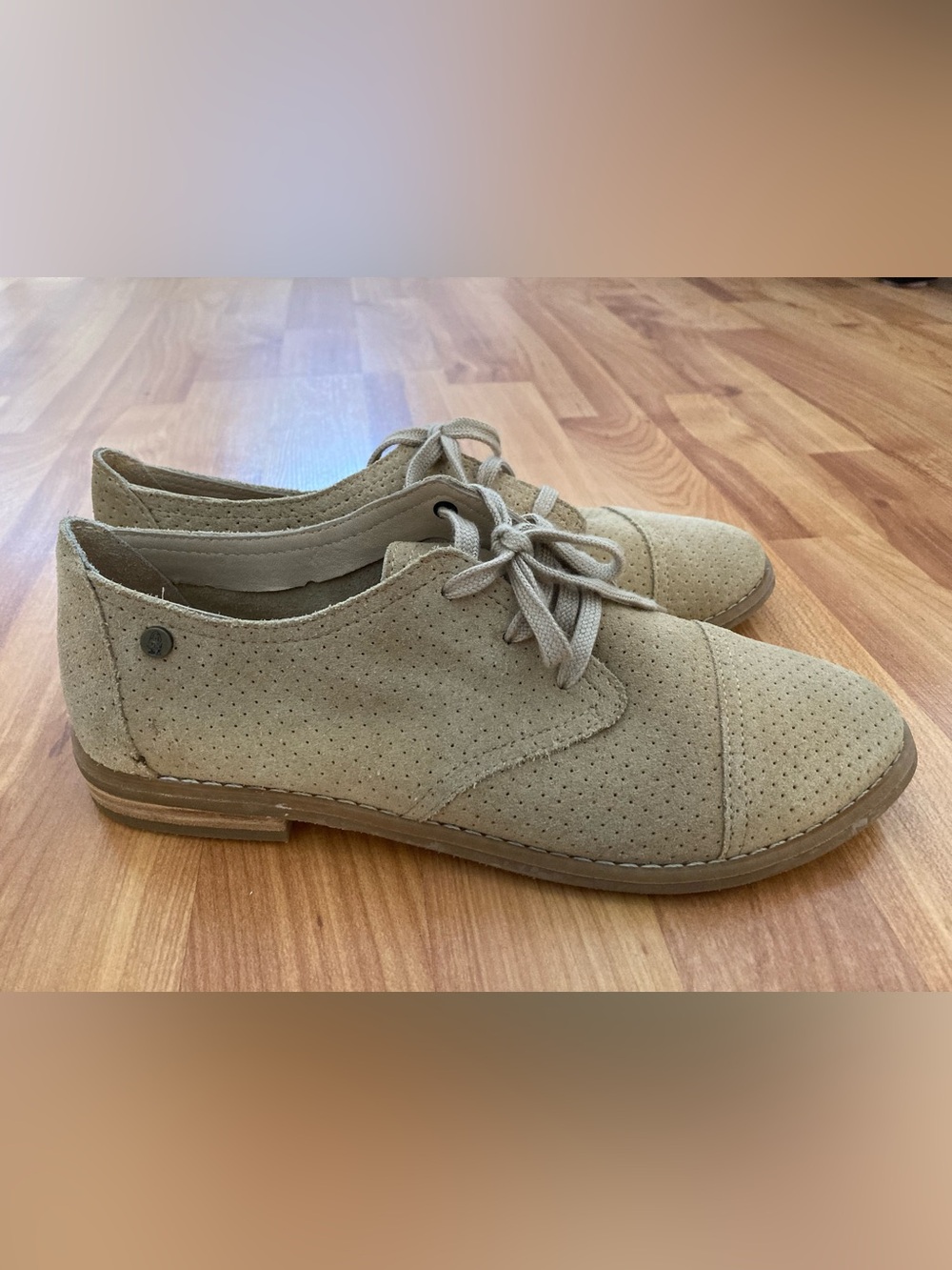 Hush Puppies Aiden Clever Taupe Suede Perforated Lace-Up Oxfords